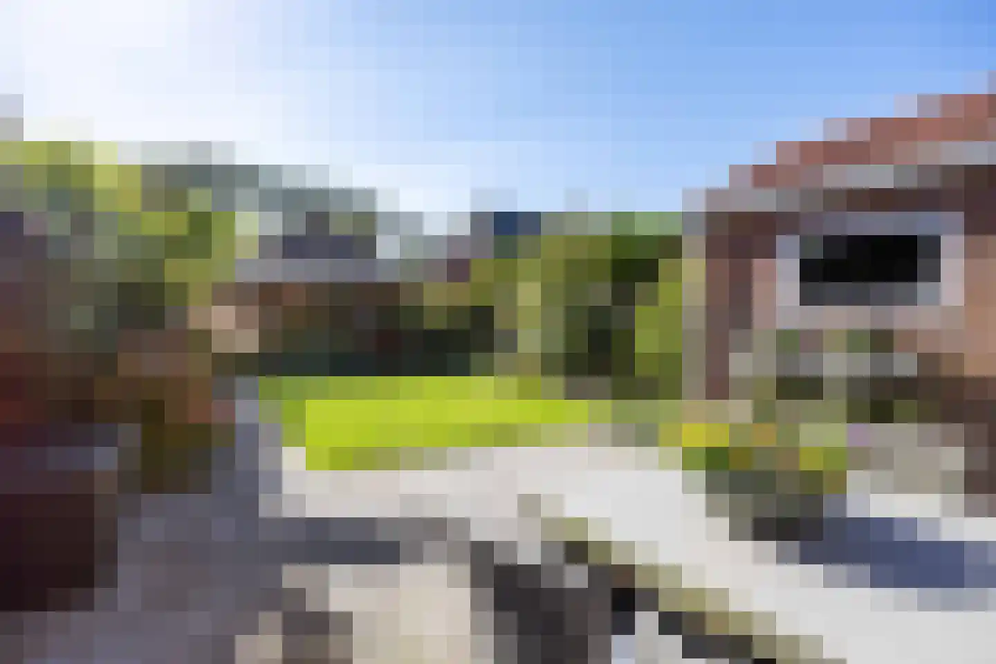 Wierumerschouwsterweg 6 Adorp thumbnail 55