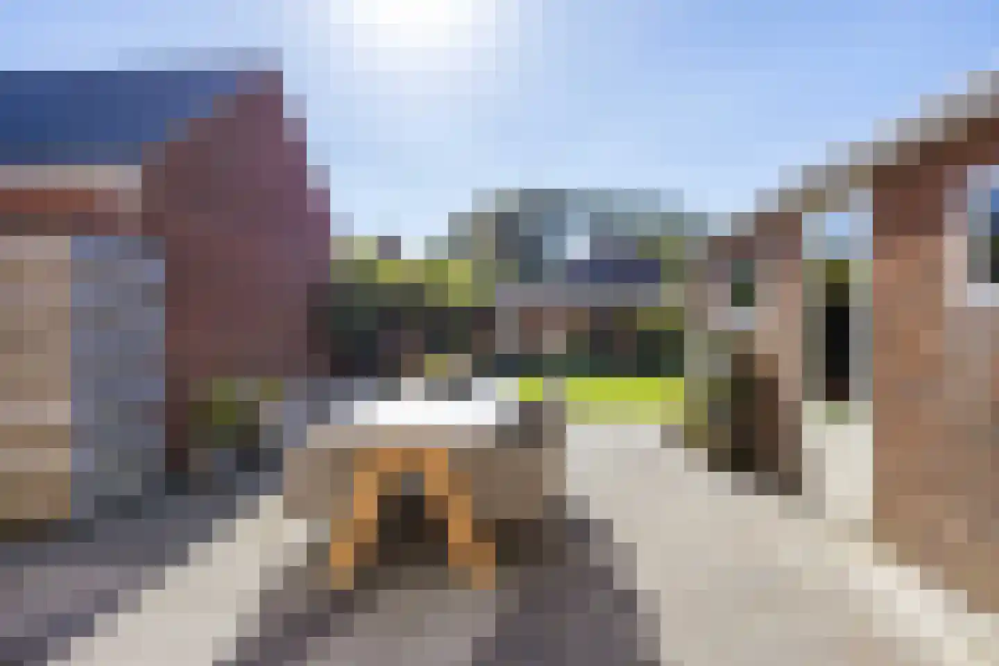 Wierumerschouwsterweg 6 Adorp thumbnail 56
