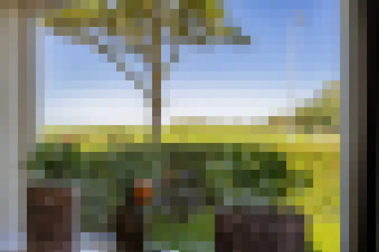 Wierumerschouwsterweg 6 Adorp thumbnail 6