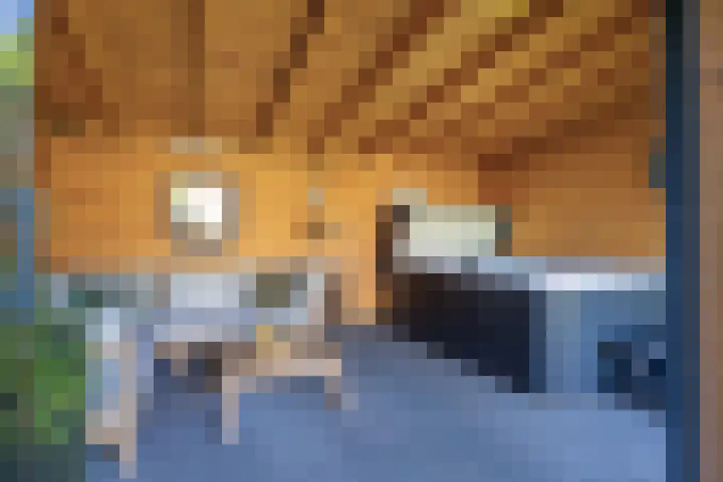 Wierumerschouwsterweg 6 Adorp thumbnail 64