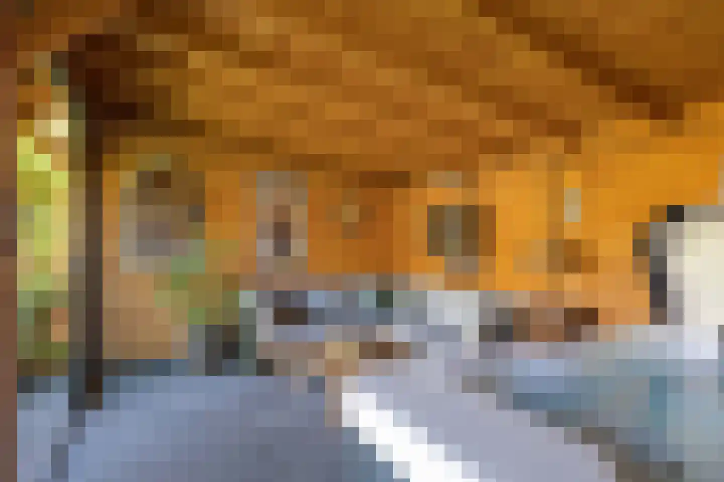 Wierumerschouwsterweg 6 Adorp thumbnail 65