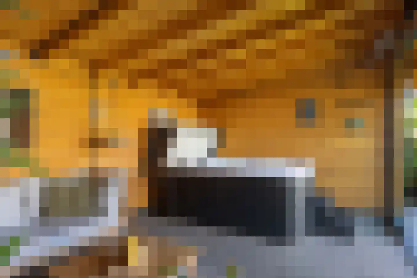 Wierumerschouwsterweg 6 Adorp thumbnail 66