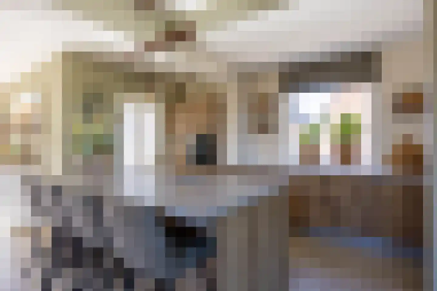 Wierumerschouwsterweg 6 Adorp thumbnail 7