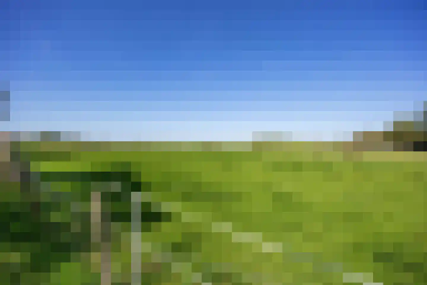 Wierumerschouwsterweg 6 Adorp thumbnail 72