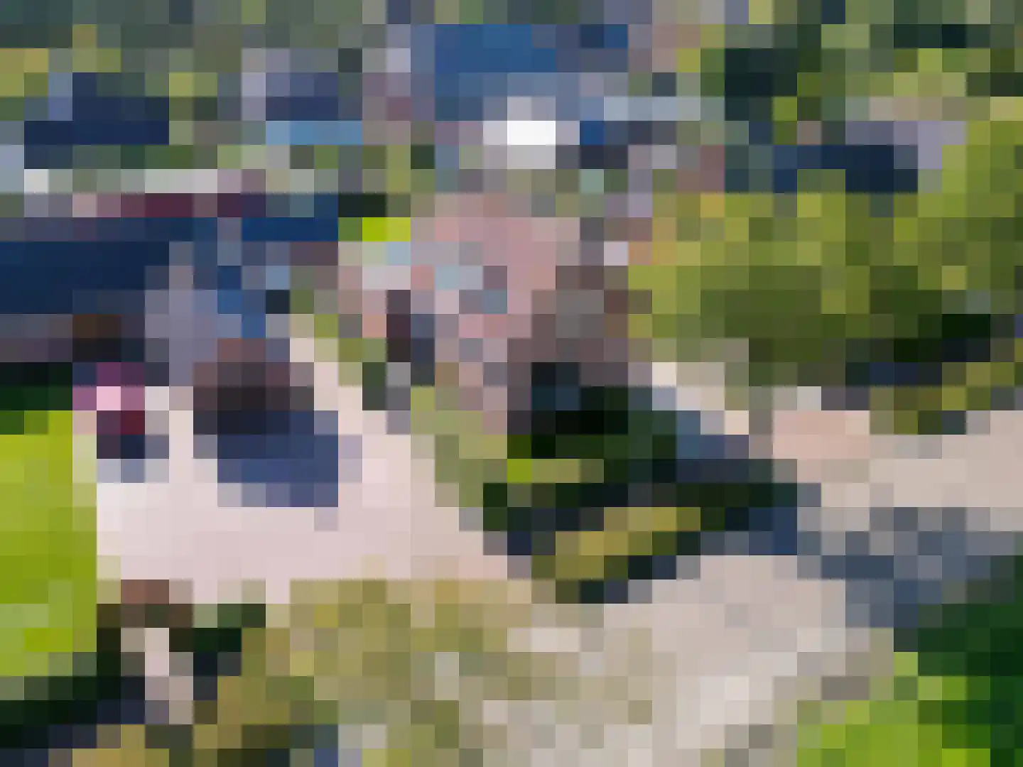 Wierumerschouwsterweg 6 Adorp thumbnail 74