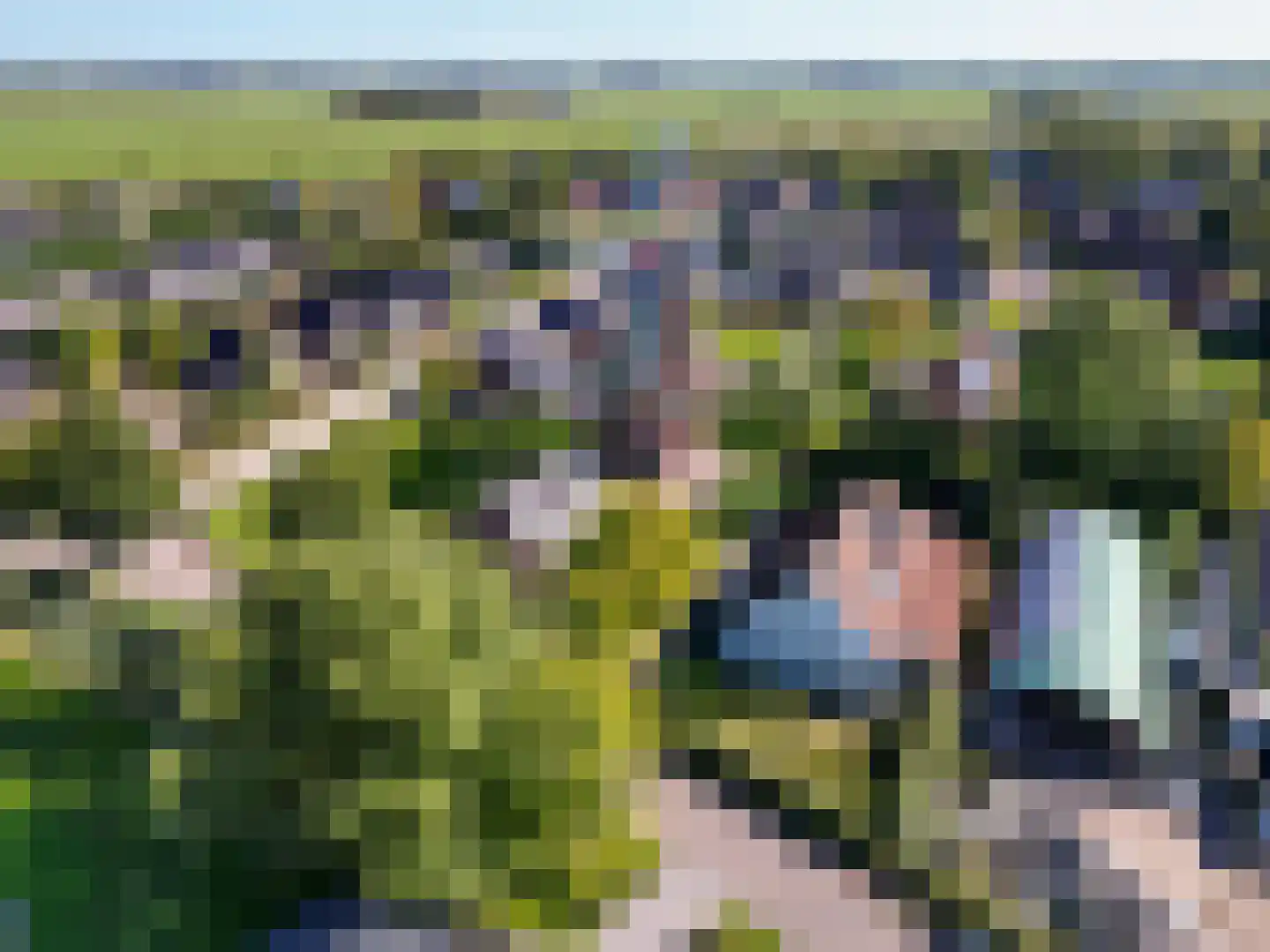 Wierumerschouwsterweg 6 Adorp thumbnail 77