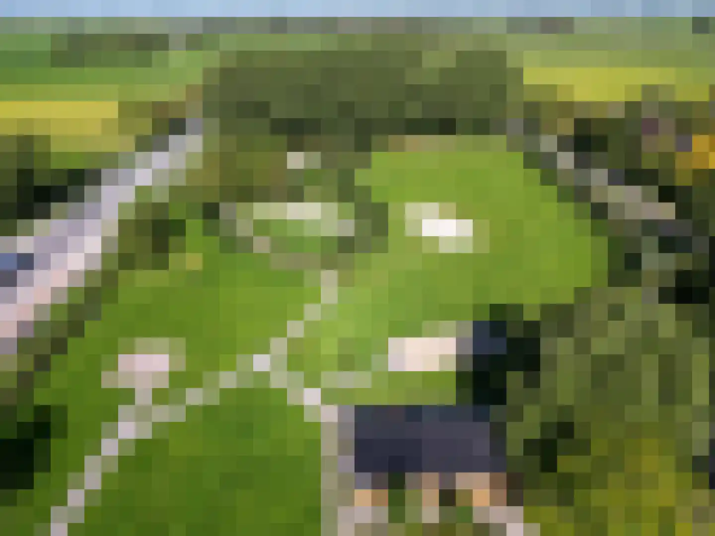 Wierumerschouwsterweg 6 Adorp thumbnail 78