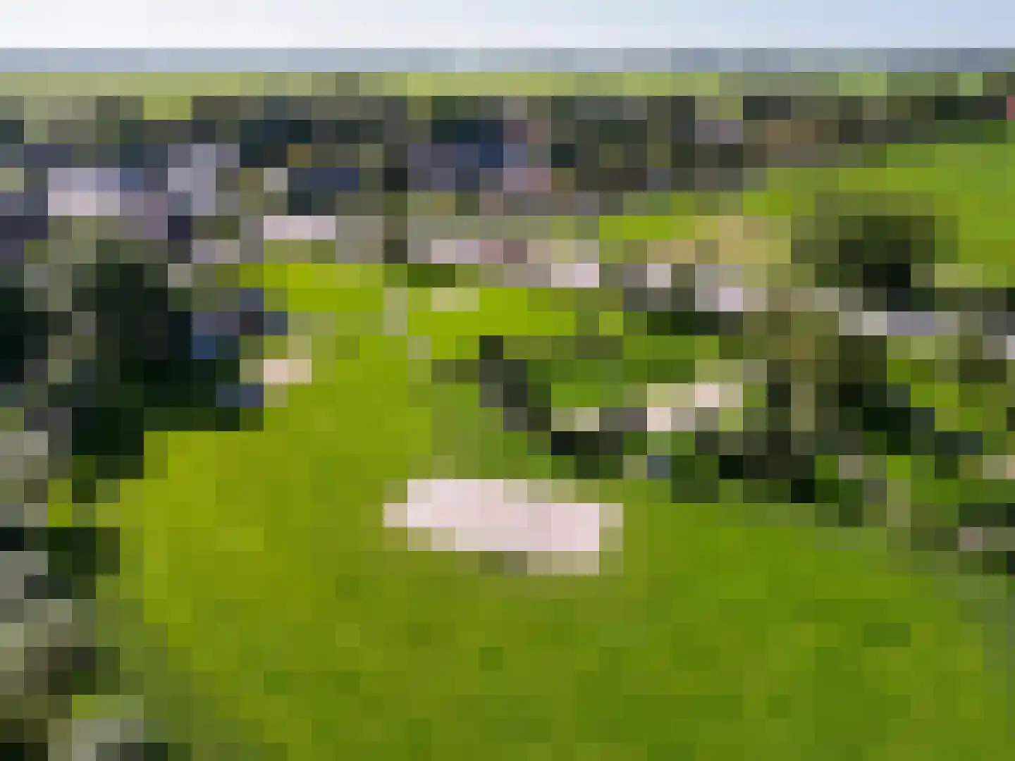Wierumerschouwsterweg 6 Adorp thumbnail 79