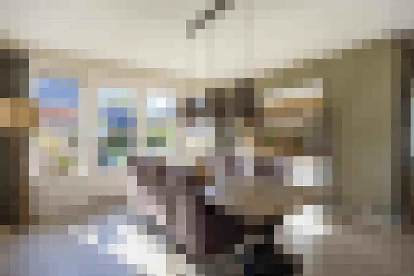 Wierumerschouwsterweg 6 Adorp thumbnail 9
