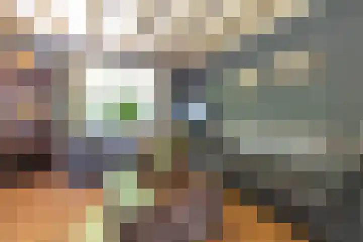 Wierumerwei 12 Hantumhuzen thumbnail 10