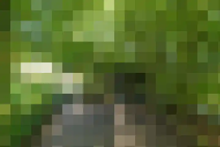 Wierumerwei 12 Hantumhuzen thumbnail 100