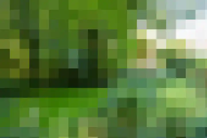 Wierumerwei 12 Hantumhuzen thumbnail 101