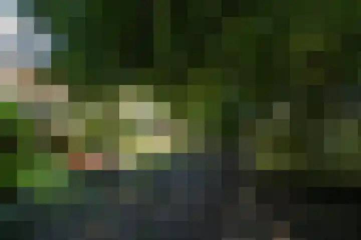 Wierumerwei 12 Hantumhuzen thumbnail 102