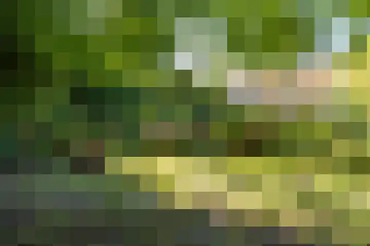 Wierumerwei 12 Hantumhuzen thumbnail 103