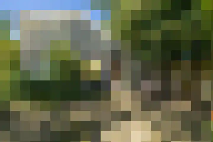 Wierumerwei 12 Hantumhuzen thumbnail 105