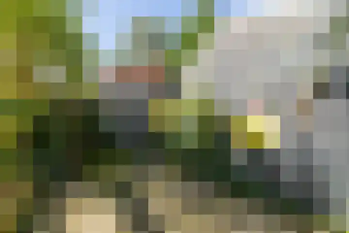 Wierumerwei 12 Hantumhuzen thumbnail 106