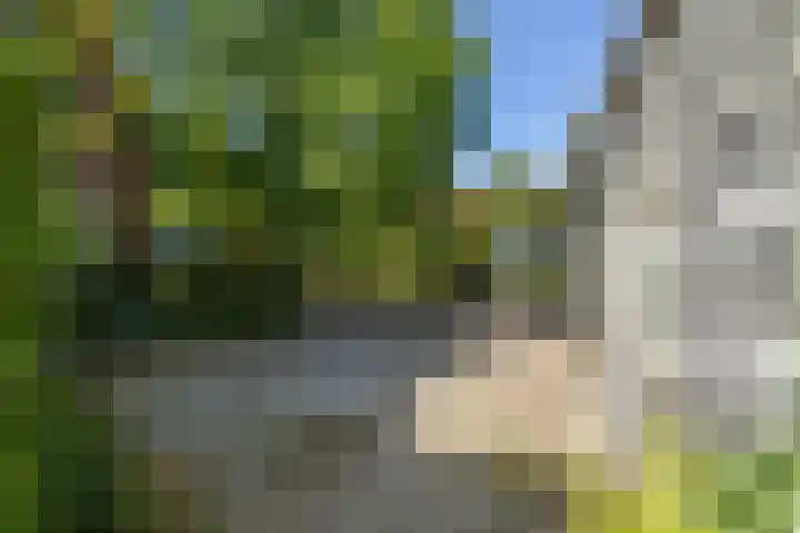 Wierumerwei 12 Hantumhuzen thumbnail 107