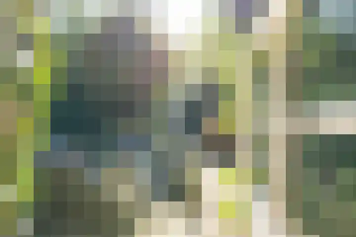Wierumerwei 12 Hantumhuzen thumbnail 109