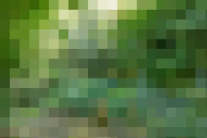 Wierumerwei 12 Hantumhuzen thumbnail 112
