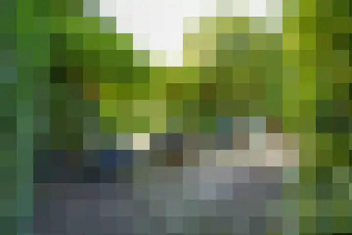Wierumerwei 12 Hantumhuzen thumbnail 113