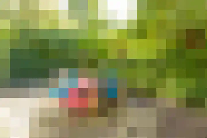 Wierumerwei 12 Hantumhuzen thumbnail 114
