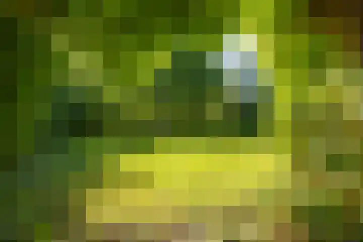 Wierumerwei 12 Hantumhuzen thumbnail 115