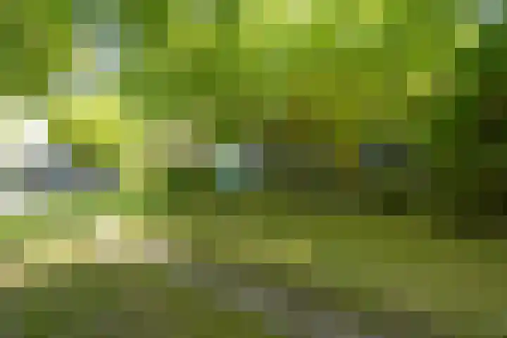 Wierumerwei 12 Hantumhuzen thumbnail 116