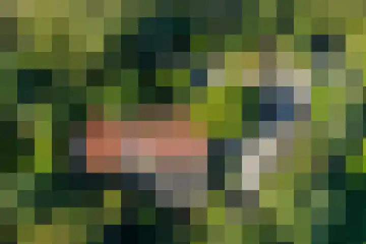 Wierumerwei 12 Hantumhuzen thumbnail 117