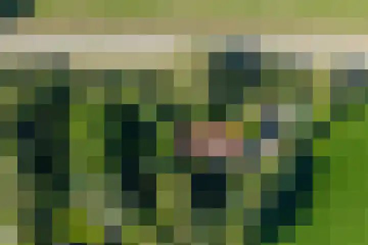 Wierumerwei 12 Hantumhuzen thumbnail 119