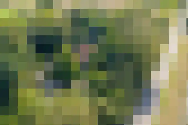 Wierumerwei 12 Hantumhuzen thumbnail 121