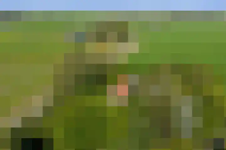 Wierumerwei 12 Hantumhuzen thumbnail 122