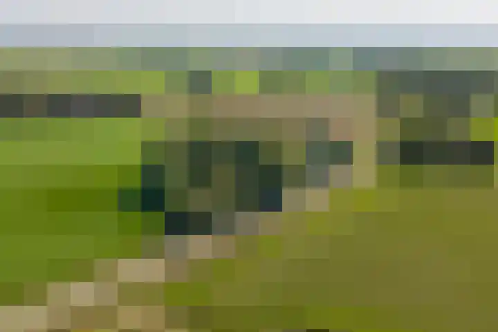 Wierumerwei 12 Hantumhuzen thumbnail 123
