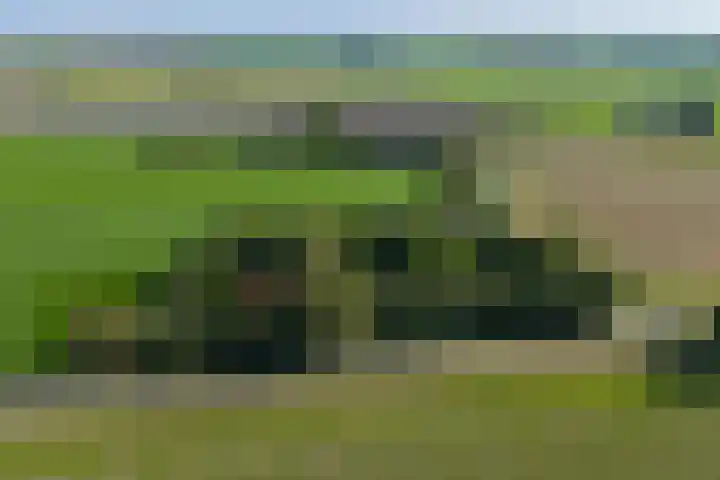 Wierumerwei 12 Hantumhuzen thumbnail 124