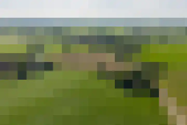 Wierumerwei 12 Hantumhuzen thumbnail 4
