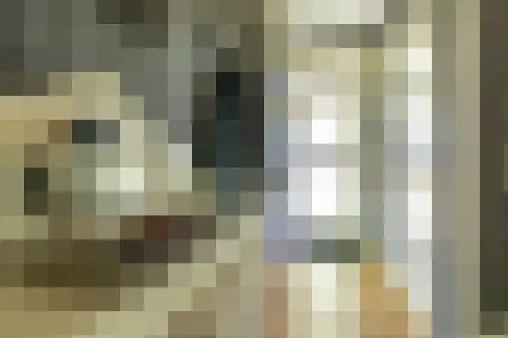 Wierumerwei 12 Hantumhuzen thumbnail 42