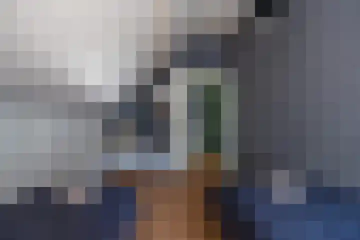 Wierumerwei 12 Hantumhuzen thumbnail 47