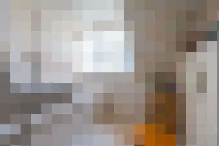 Wierumerwei 12 Hantumhuzen thumbnail 49