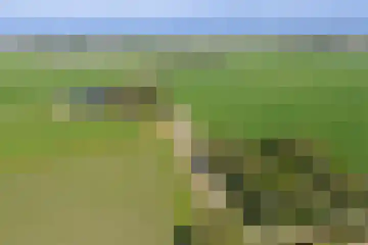 Wierumerwei 12 Hantumhuzen thumbnail 5