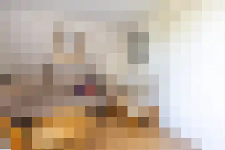 Wierumerwei 12 Hantumhuzen thumbnail 68