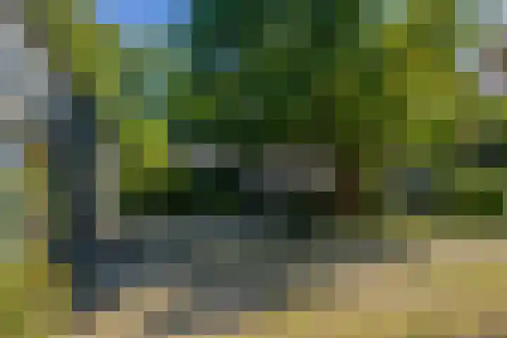 Wierumerwei 12 Hantumhuzen thumbnail 8