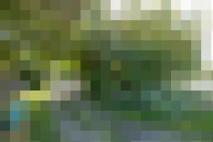 Wierumerwei 12 Hantumhuzen thumbnail 81