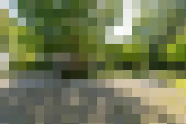 Wierumerwei 12 Hantumhuzen thumbnail 84