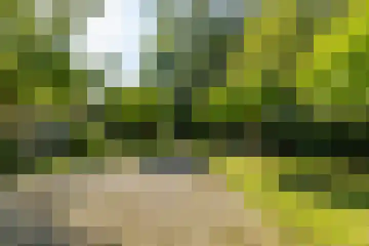 Wierumerwei 12 Hantumhuzen thumbnail 85