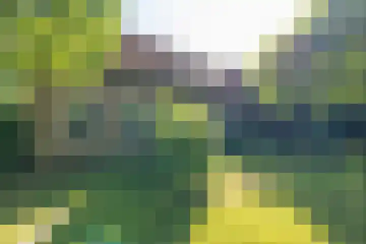 Wierumerwei 12 Hantumhuzen thumbnail 86