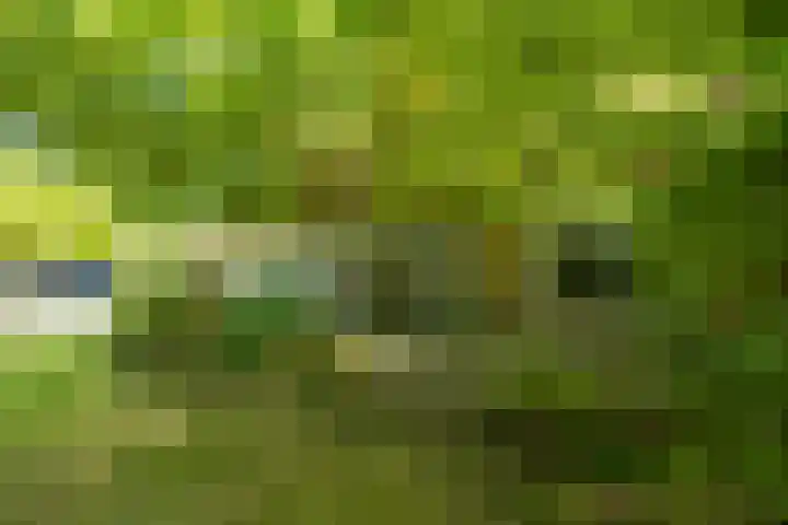 Wierumerwei 12 Hantumhuzen thumbnail 88