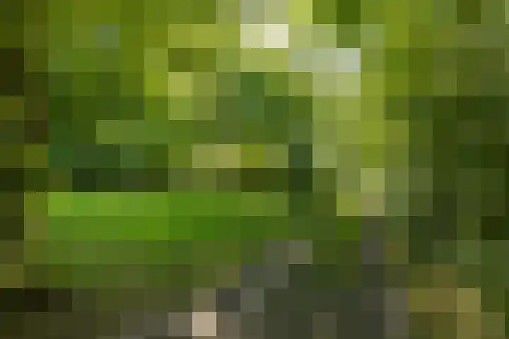 Wierumerwei 12 Hantumhuzen thumbnail 89