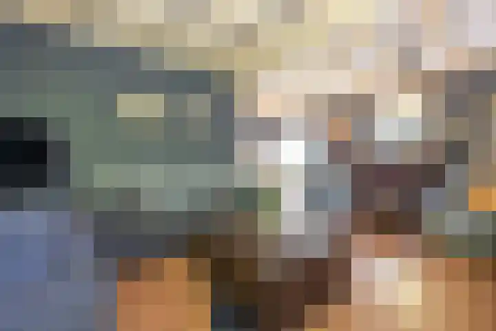 Wierumerwei 12 Hantumhuzen thumbnail 9