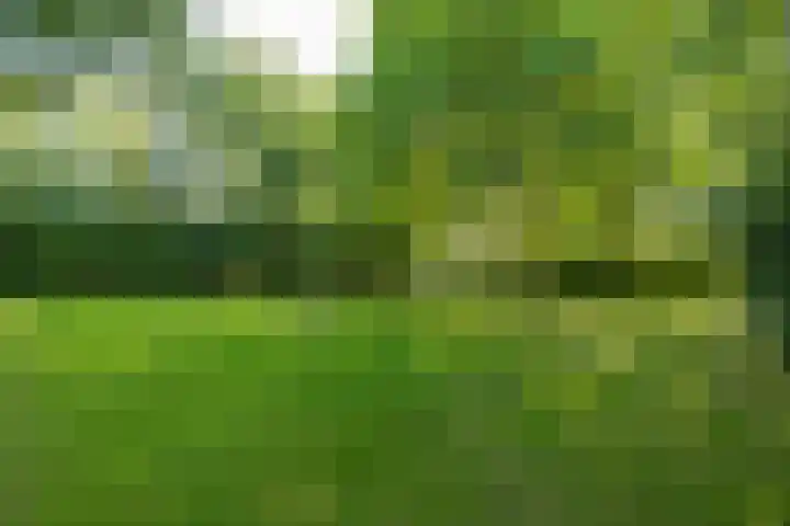 Wierumerwei 12 Hantumhuzen thumbnail 90