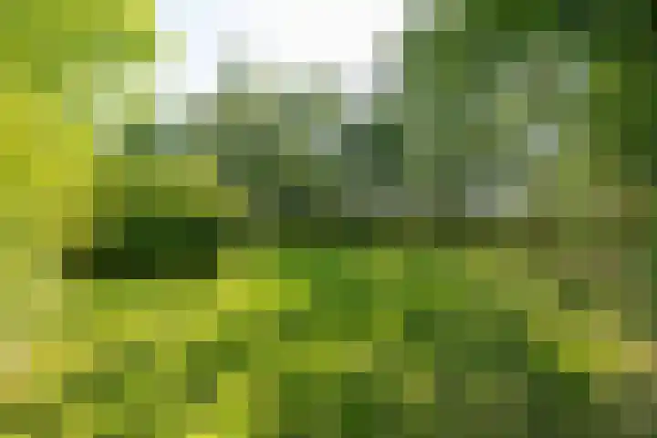 Wierumerwei 12 Hantumhuzen thumbnail 92