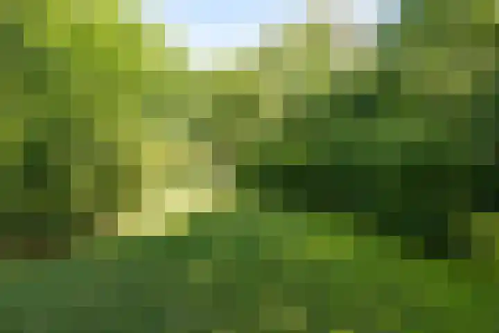 Wierumerwei 12 Hantumhuzen thumbnail 94